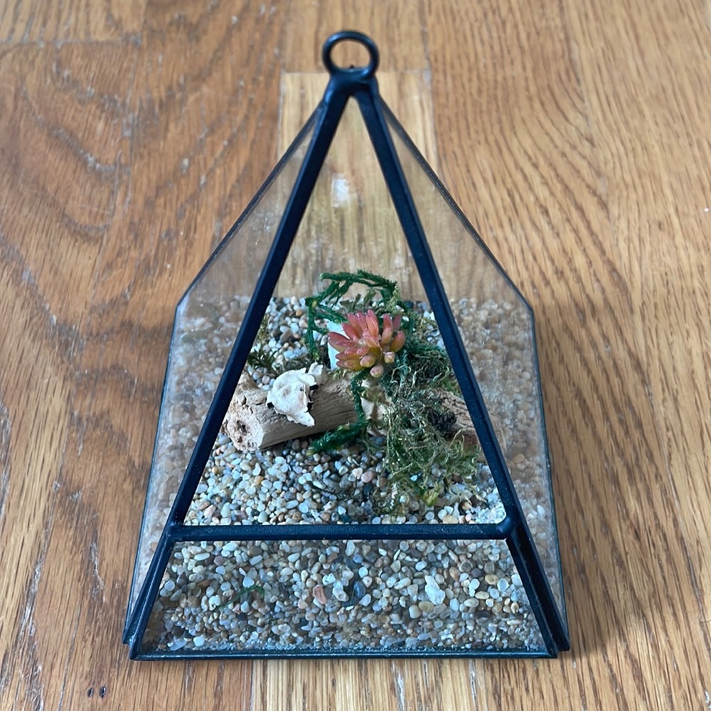NWOT Black Metal Terrarium with rocks & mossy log